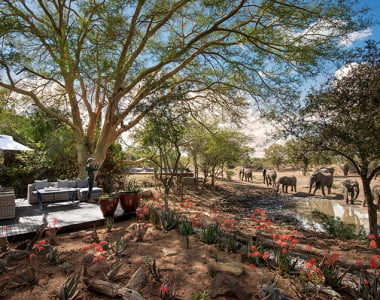 Grande Safari Luxury na África do Sul 